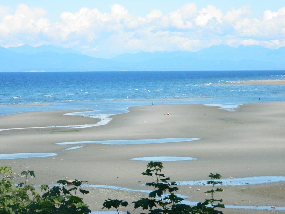 The Tide'S Inn Parksville Bagian luar foto