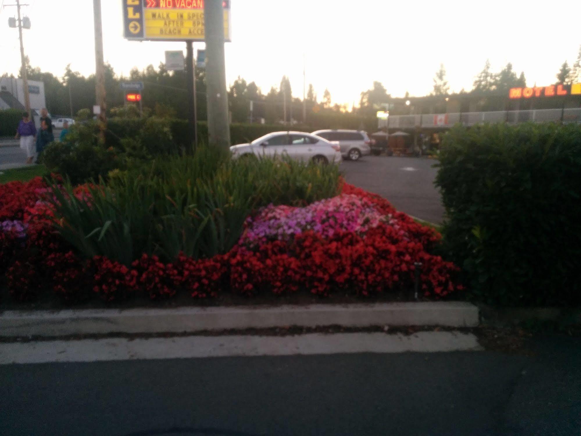 The Tide'S Inn Parksville Bagian luar foto